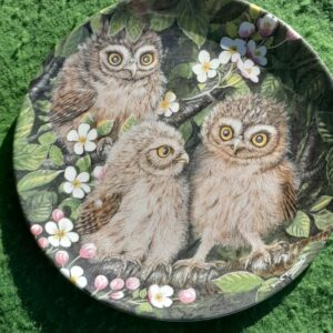 owl plate