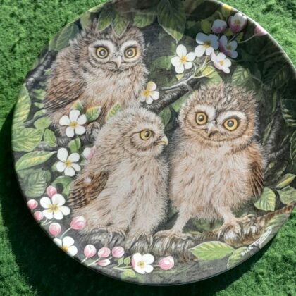 Wedgwood Baby Owls Bone China Decorative Plates x 6