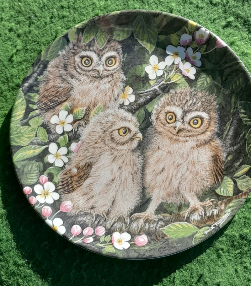 owl plate